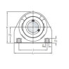Logement de palier gamme alimentaire SKF P2BTC20MCPSS