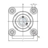 Logement de palier gamme alimentaire SKF F4BC100CPSS