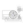 Logement de palier gamme alimentaire SKF P2BC100CPSS