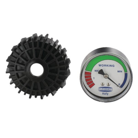 Manomètre FLEXBIMEC FGP015399