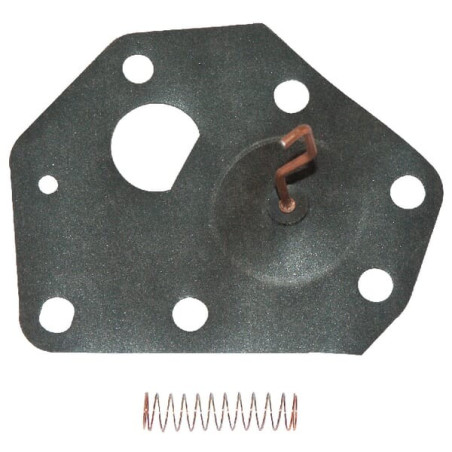 Membrane BRIGGS ET STRATTON 299637