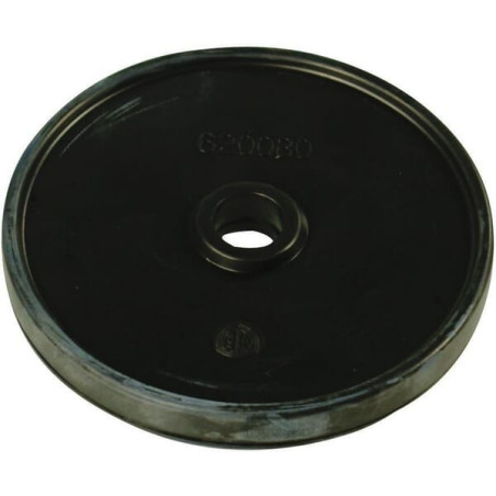 Membrane ANNOVI REVERBERI 620080