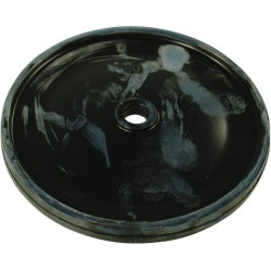 Membrane ANNOVI REVERBERI 650082
