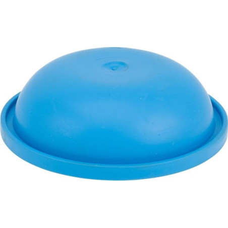 Membrane ANNOVI REVERBERI 550194AR