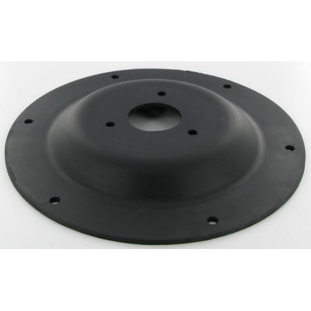 Membrane IPSA WE1015N
