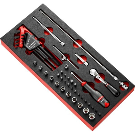 Module FACOM MODMRL2U
