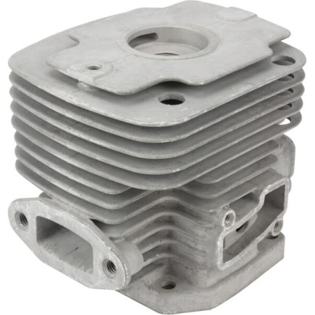 Moteur KAWASAKI 110050609
