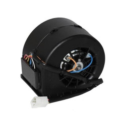 Moteur UNIVERSEL KL080131