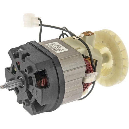 Moteur MTD 62405026