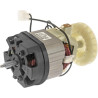 Moteur MTD 62405026