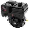Moteur BRIGGS ET STRATTON 25T2320108F1