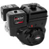 Moteur BRIGGS ET STRATTON 25T2320108F1