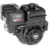 Moteur BRIGGS ET STRATTON 25T2370109F1