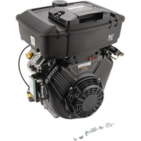 Moteur BRIGGS ET STRATTON 3054420315F1
