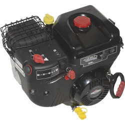 Moteur BRIGGS ET STRATTON 19J1370010F1