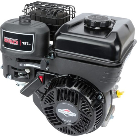 Moteur BRIGGS ET STRATTON 0831320249H5
