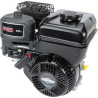 Moteur BRIGGS ET STRATTON 0831320249H5