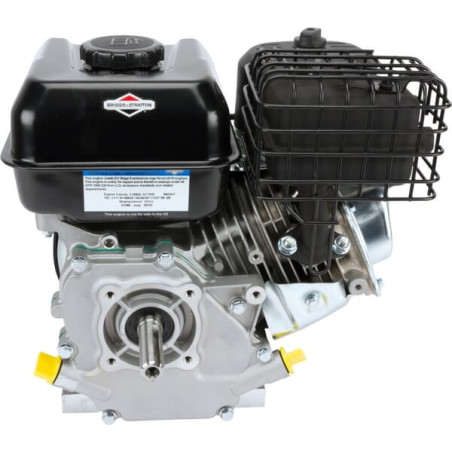 Moteur BRIGGS ET STRATTON 0831320249H5
