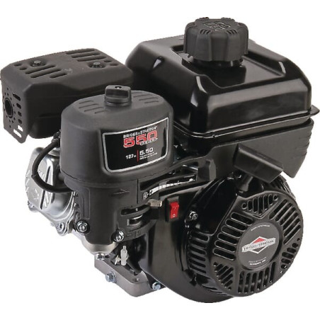 Moteur BRIGGS ET STRATTON 0831321035F1