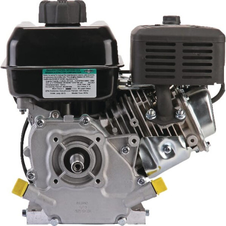 Moteur BRIGGS ET STRATTON 0831321035F1