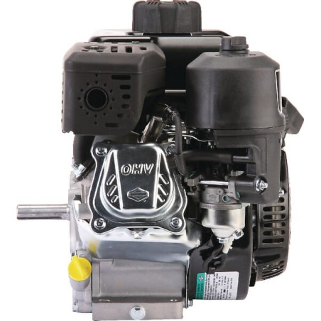 Moteur BRIGGS ET STRATTON 0831321035F1