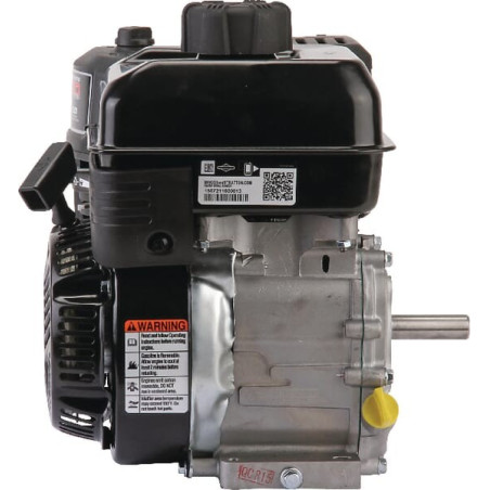 Moteur BRIGGS ET STRATTON 0831321035F1