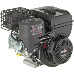 Moteur BRIGGS ET STRATTON 0831320244H1BF7001