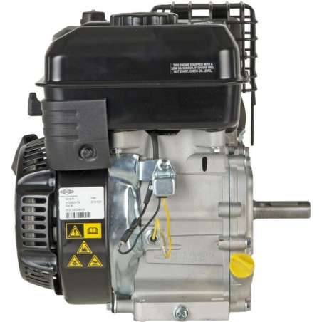 Moteur BRIGGS ET STRATTON 0831320244H1BF7001