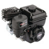 Moteur BRIGGS ET STRATTON 1062320129H5