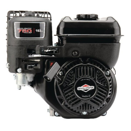 Moteur BRIGGS ET STRATTON 1062320129H5