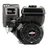 Moteur BRIGGS ET STRATTON 1062320129H5
