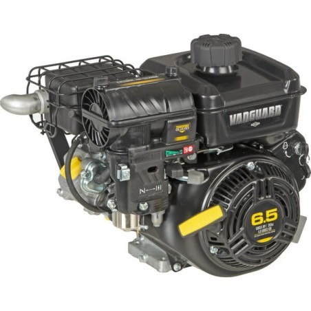 Moteur BRIGGS ET STRATTON 12V3370010F1