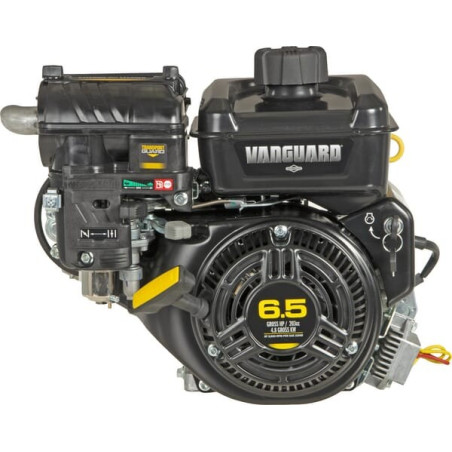 Moteur BRIGGS ET STRATTON 12V3370010F1