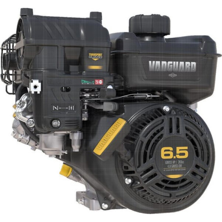 Moteur BRIGGS ET STRATTON 12V3320003F1