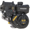 Moteur BRIGGS ET STRATTON 12V3320003F1