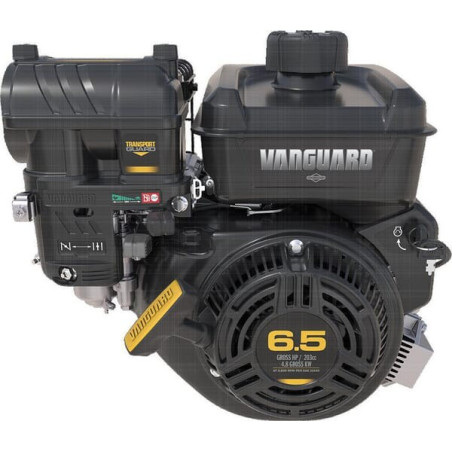 Moteur BRIGGS ET STRATTON 12V3320003F1