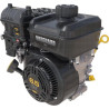 Moteur BRIGGS ET STRATTON 12V3320003F1