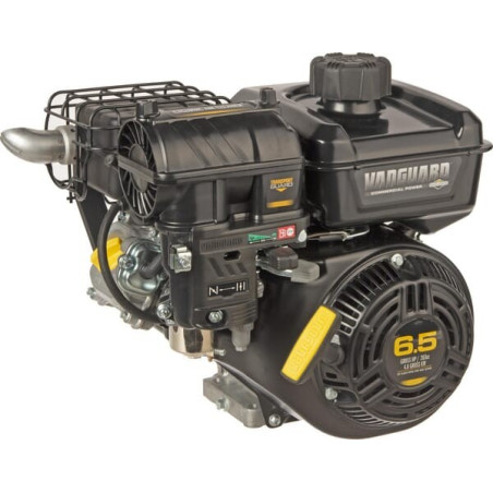Moteur BRIGGS ET STRATTON 12V3320003F1