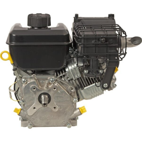 Moteur BRIGGS ET STRATTON 12V3320003F1