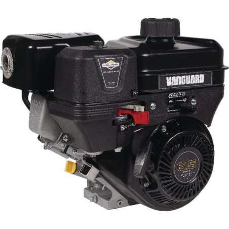 Moteur BRIGGS ET STRATTON 12V3520005F1