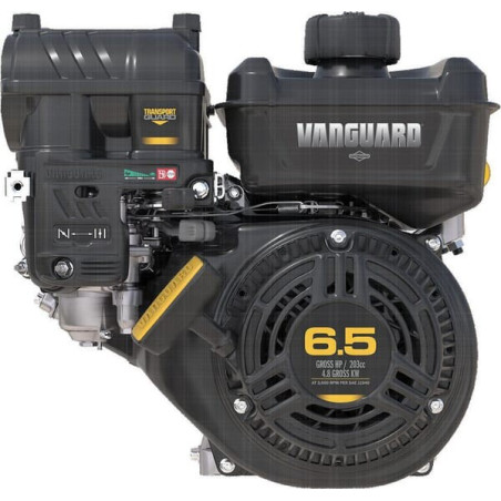 Moteur BRIGGS ET STRATTON 12V3320008F1