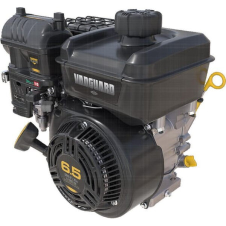 Moteur BRIGGS ET STRATTON 12V3320008F1