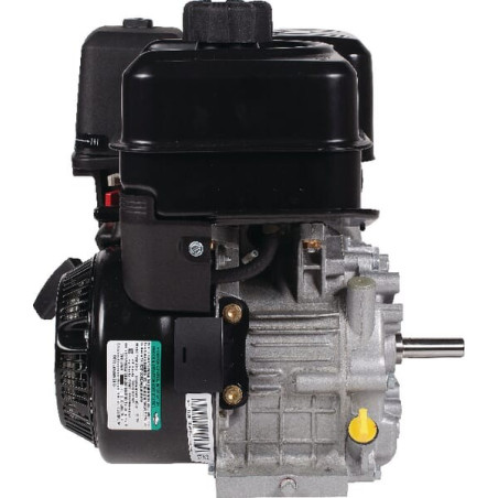 Moteur BRIGGS ET STRATTON 19L1320320F1