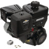 Moteur BRIGGS ET STRATTON 19L2320315F1