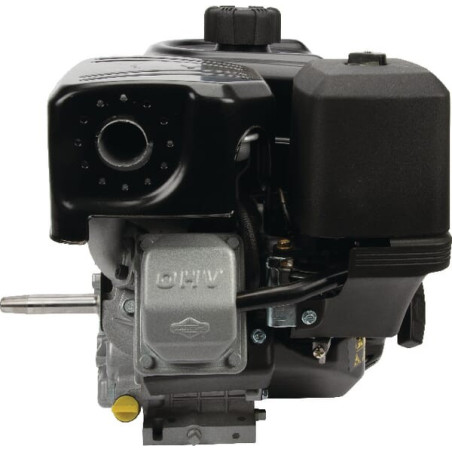 Moteur BRIGGS ET STRATTON 19L2320315F1
