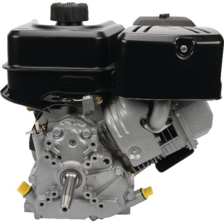Moteur BRIGGS ET STRATTON 19L2320315F1