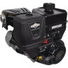 Moteur BRIGGS ET STRATTON 19L2320314F1