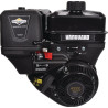 Moteur BRIGGS ET STRATTON 19L2320314F1