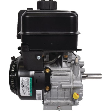 Moteur BRIGGS ET STRATTON 19L2320314F1
