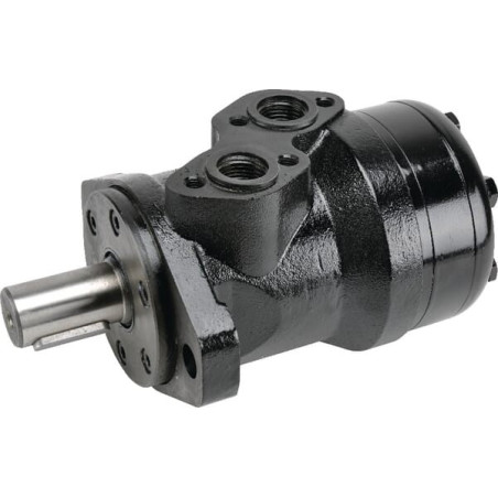 Moteur BATTIONI PAGANI 5020400035